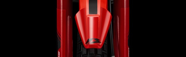 D 5
