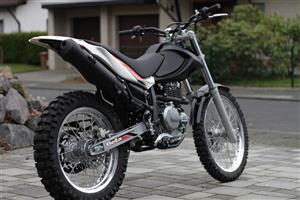 Alp 4.0 -Shop