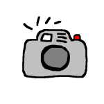 Kammera 15